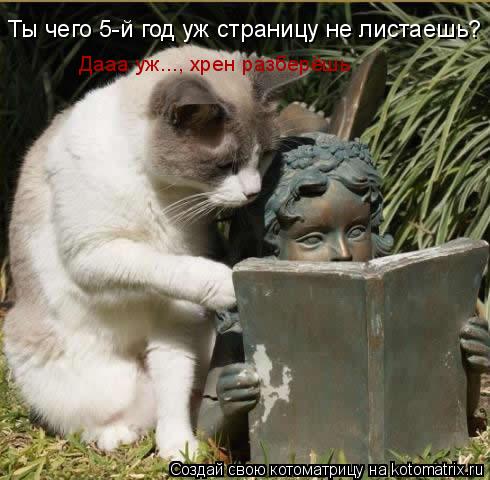 Котоматрица: Дааа уж..., хрен разберёшь Ты чего 5-й год уж страницу не листаешь?