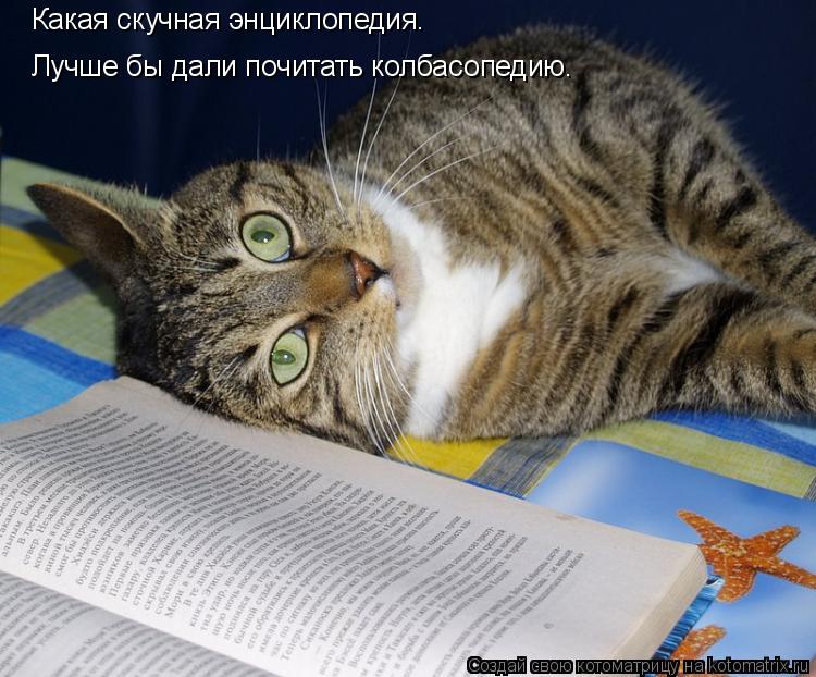 Котоматрица: Какая скучная энциклопедия. Лучше бы дали почитать колбасопедию.
