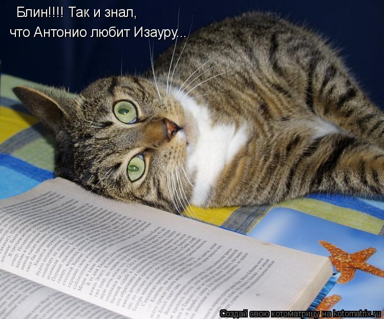 Котоматрица: Блин!!!! Так и знал, что Антонио любит Изауру...