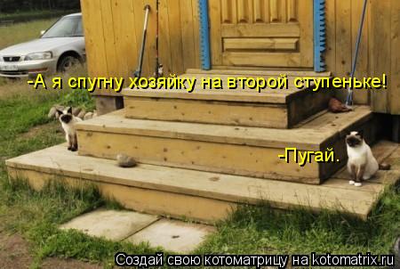 Котоматрица: -Пугай. -А я спугну хозяйку на второй ступеньке!