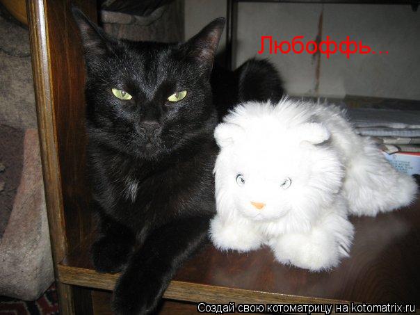 Котоматрица: Любоффь...