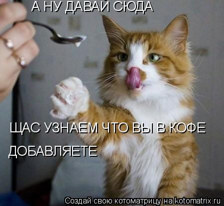 Котоматрица: А НУ ДАВАЙ СЮДА ЩАС УЗНАЕМ ЧТО ВЫ В КОФЕ  ДОБАВЛЯЕТЕ
