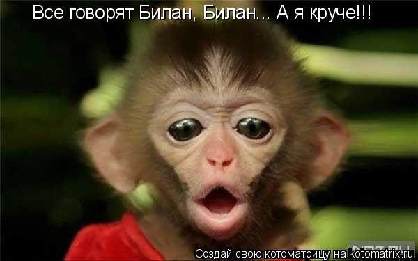 Котоматрица: Все говорят Билан, Билан... А я круче!!!