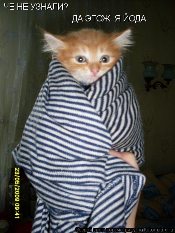 Котоматрица: ЧЕ НЕ УЗНАЛИ? ДА ЭТОЖ  Я ЙОДА
