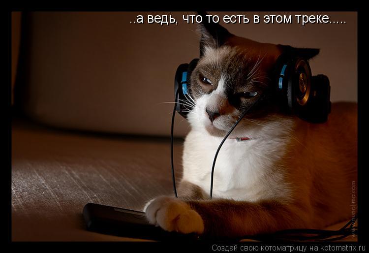 Котоматрица: ..а ведь, что то есть в этом треке.....
