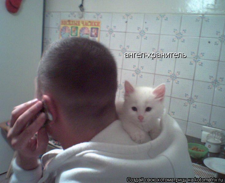 Котоматрица: ангел-хранитель