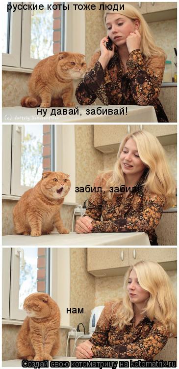 Котоматрица: русские коты тоже люди ну давай, забивай! забил, забил! нам