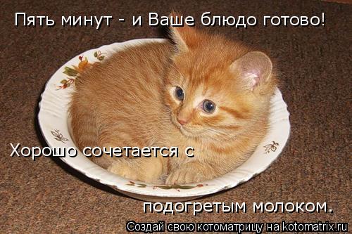 Котоматрица: Пять минут - и Ваше блюдо готово! Хорошо сочетается с подогретым молоком.