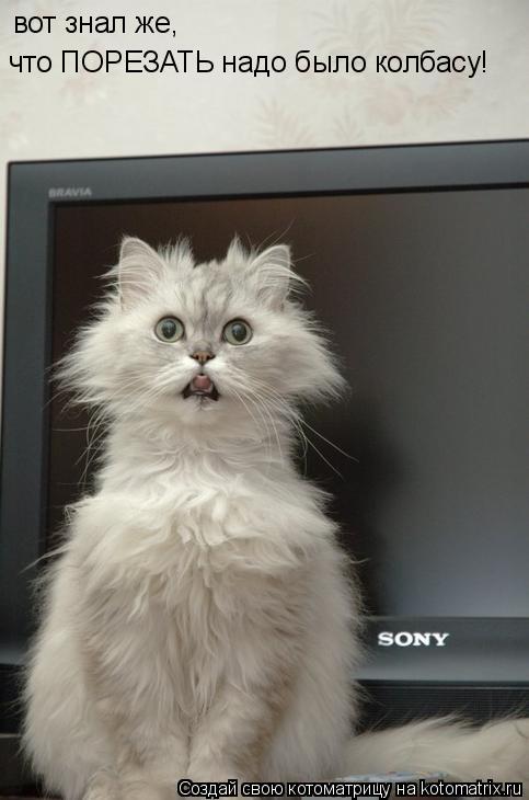 Котоматрица: вот знал же, что ПОРЕЗАТЬ надо было колбасу!