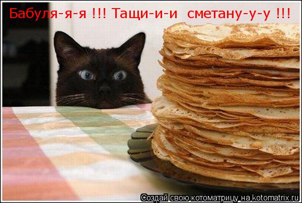 Котоматрица: Бабуля-я-я !!! Тащи-и-и  сметану-у-у !!!