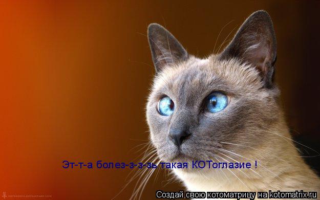 Котоматрица: Эт-т-а болез-з-з-зь такая КОТоглазие !