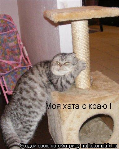 Котоматрица: Моя хата с краю !
