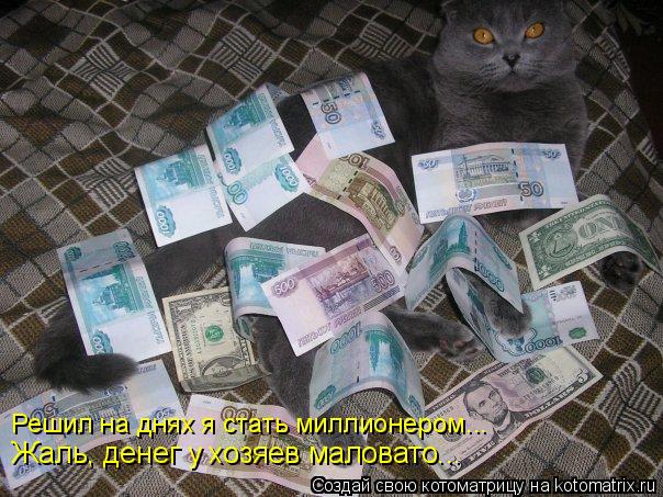 Решил на днях я стать миллионером... Жаль, денег у хозяев маловато...... Котоматрица: Решил на днях я стать миллионером... Жаль, денег у хозяев маловато...