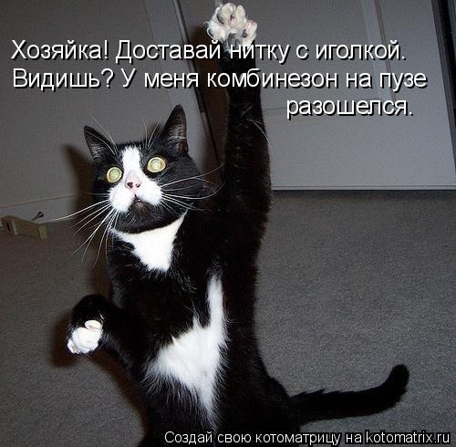 Хозяйка! Доставай нитку с иголкой. Видишь? У меня комбинезон на пузе разошелся.... Котоматрица: Хозяйка! Доставай нитку с иголкой. Видишь? У меня комбинезон на пузе разошелся.