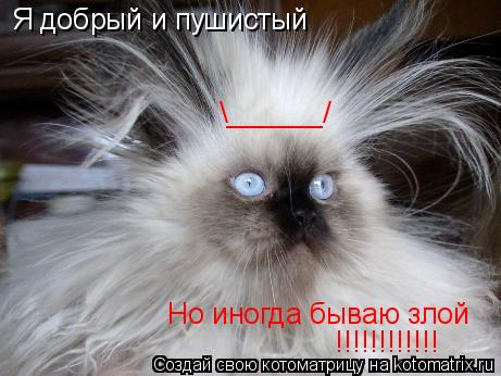 Котоматрица: Я добрый и пушистый Но иногда бываю злой  \______/ !!!!!!!!!!!!