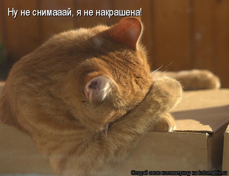 Котоматрица: Ну не снимааай, я не накрашена!