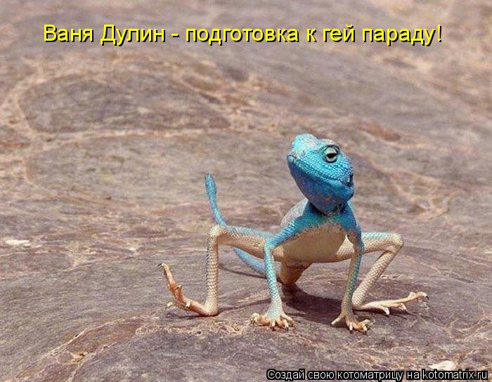 Котоматрица: Ваня Дулин - подготовка к гей параду!