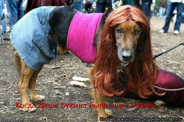 Котоматрица: Когда Даша Букина была ещё собакой...