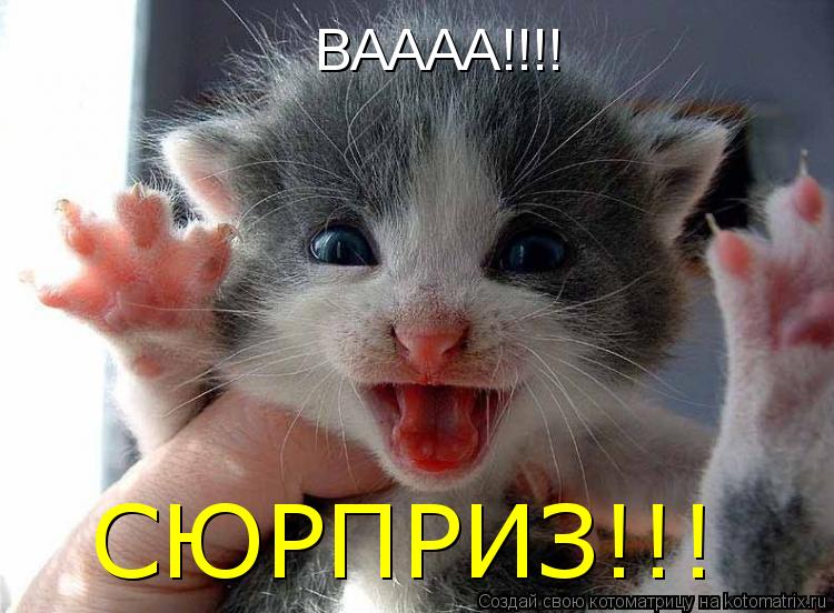 Котоматрица: ВАААА!!!! СЮРПРИЗ!!!