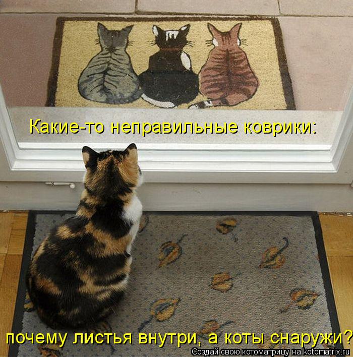 Какие-то неправильные коврики: почему листья внутри, а коты снаружи?... Котоматрица: Какие-то неправильные коврики: почему листья внутри, а коты снаружи?