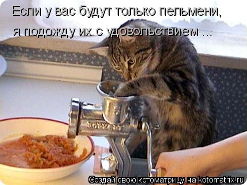 Котоматрица: Если у вас будут только пельмени,  я подожду их с удовольствием ...