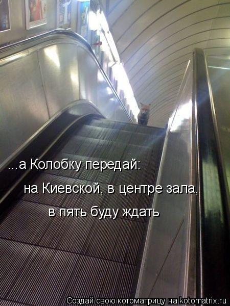 Котоматрица: ...а Колобку передай: на Киевской, в центре зала,  в пять буду ждать