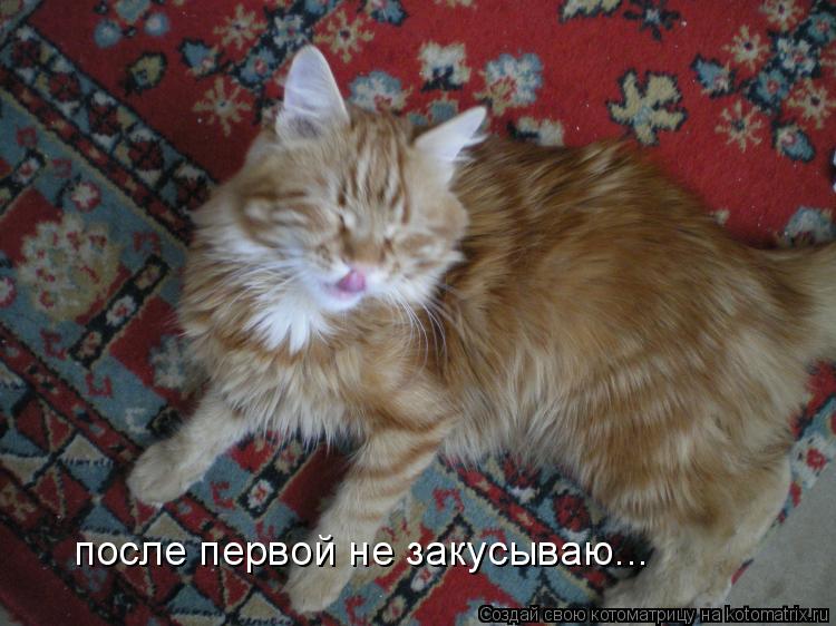 Котоматрица: после первой не закусываю...
