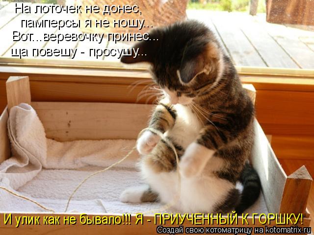 Котоматрица: На лоточек не донес,  памперсы я не ношу... Вот...веревочку принес... ща повешу - просушу... И улик как не бывало!!! Я - ПРИУЧЕННЫЙ К ГОРШКУ!