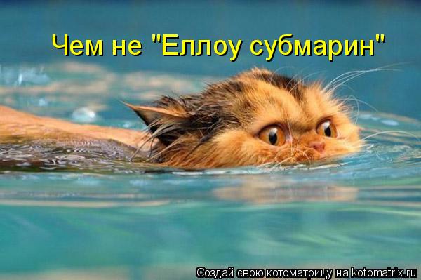 Чем не "Еллоу субмарин"... Котоматрица: Чем не "Еллоу субмарин"