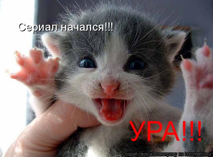Котоматрица: Сериал начался!!! УРА!!!