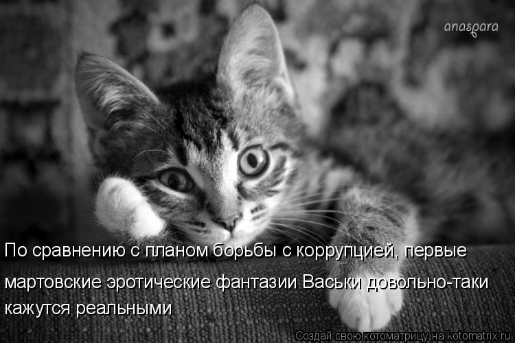Котоматрица: По сравнению с планом борьбы с коррупцией, первые  мартовские эротические фантазии Васьки довольно-таки  кажутся реальными