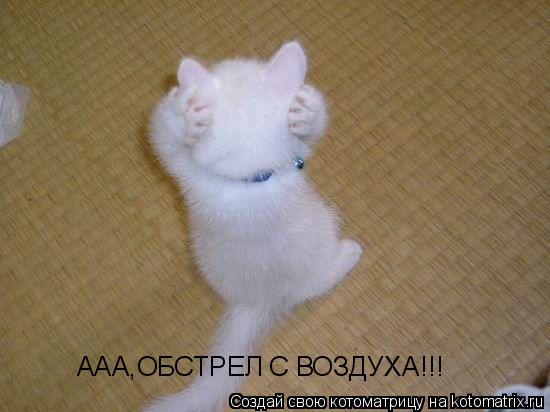 Котоматрица: ААА,ОБСТРЕЛ С ВОЗДУХА!!!