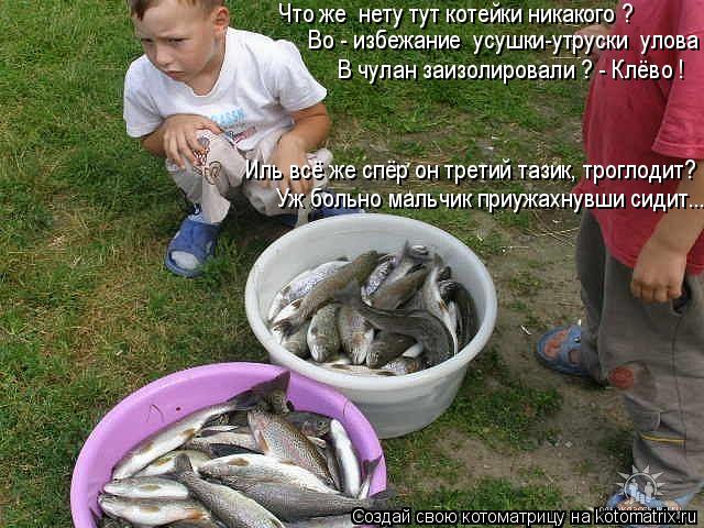Котоматрица: Что же  нету тут котейки никакого ? Во - избежание  усушки-утруски  улова  В чулан заизолировали ? - Клёво ! Уж больно мальчик приужахнувши сиди