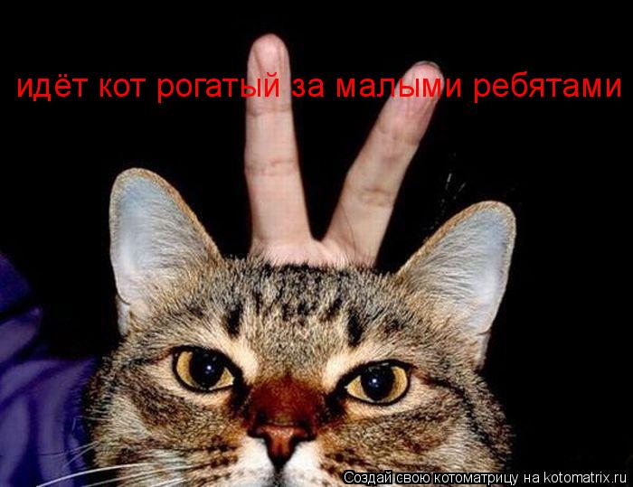 Котоматрица: идёт кот рогатый за малыми ребятами