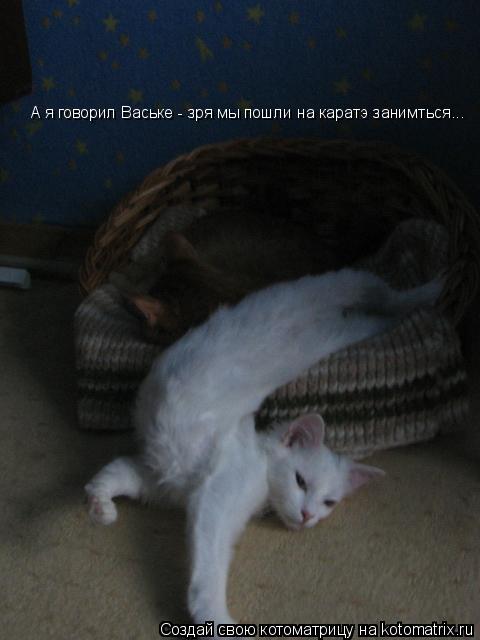 Котоматрица: А я говорил Ваське - зря мы пошли на каратэ занимться...