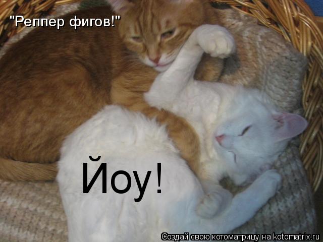 Котоматрица: Йоу! "Реппер фигов!"