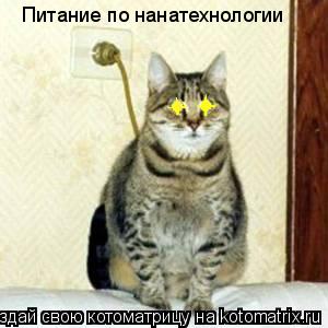 Котоматрица: Питание по нанатехнологии