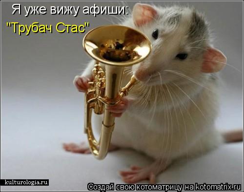 Котоматрица: Я уже вижу афиши: "Трубач Стас"