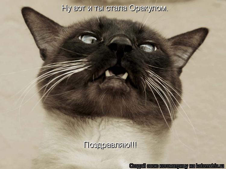 Котоматрица: Ну вот и ты стала Оракулом. Поздравляю!!!