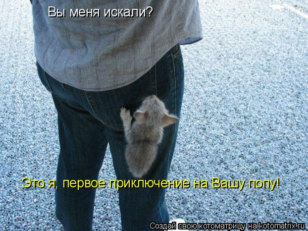 Котоматрица: Вы меня искали? Это я, первое приключение на Вашу попу!