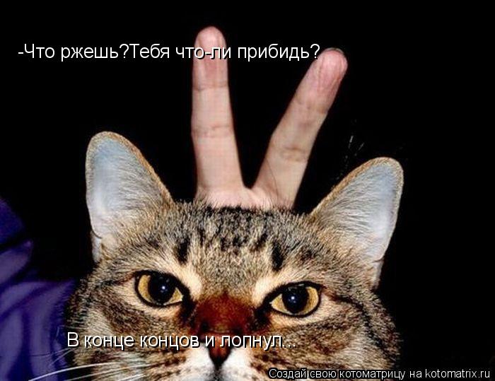 Котоматрица: -Что ржешь?Тебя что-ли прибидь? В конце концов и лопнул...