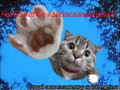 Котоматрица: Калба-калба-калбасаааааааааа!
