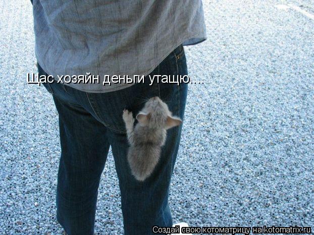 Котоматрица: Щас хозяйн деньги утащю....