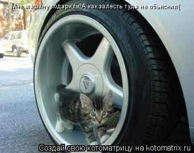Котоматрица: Мне машину подарили!А как залесть туда не обьяснил(