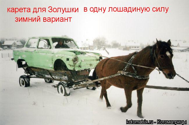 Котоматрица: карета для Золушки зимний вариант в одну лошадиную силу