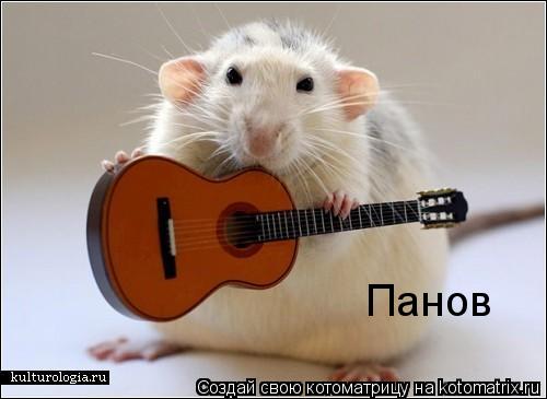 Котоматрица: Панов