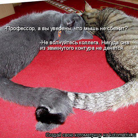 Котоматрица: -Профессор, а вы уверены, что мышь не сбежит? -Не волнуйтесь коллега. Никуда она  из замкнутого контура не денется.
