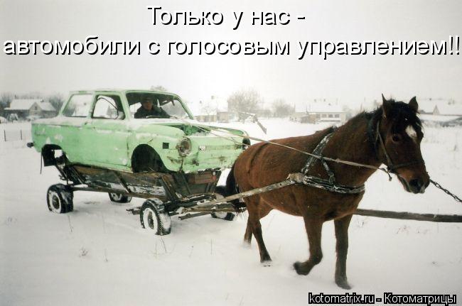 Только у нас - автомобили с голосовым управлением!!!... Котоматрица: Только у нас - автомобили с голосовым управлением!!!