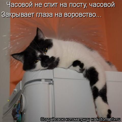 Котоматрица: Часовой не спит на посту, часовой  Закрывает глаза на воровство...