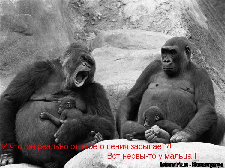 Котоматрица: И что, он реально от твоего пения засыпает?! Вот нервы-то у мальца!!!